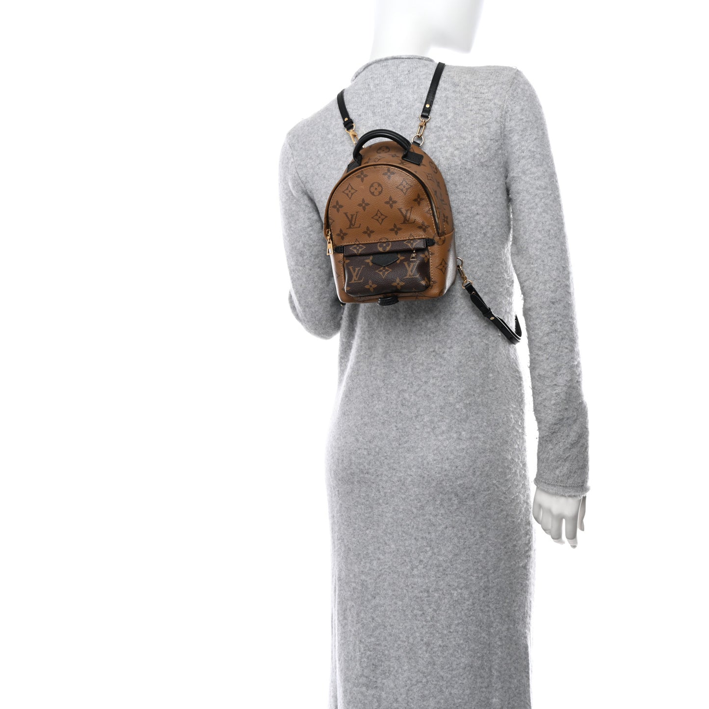 Reverse Monogram Palm Springs Backpack Mini