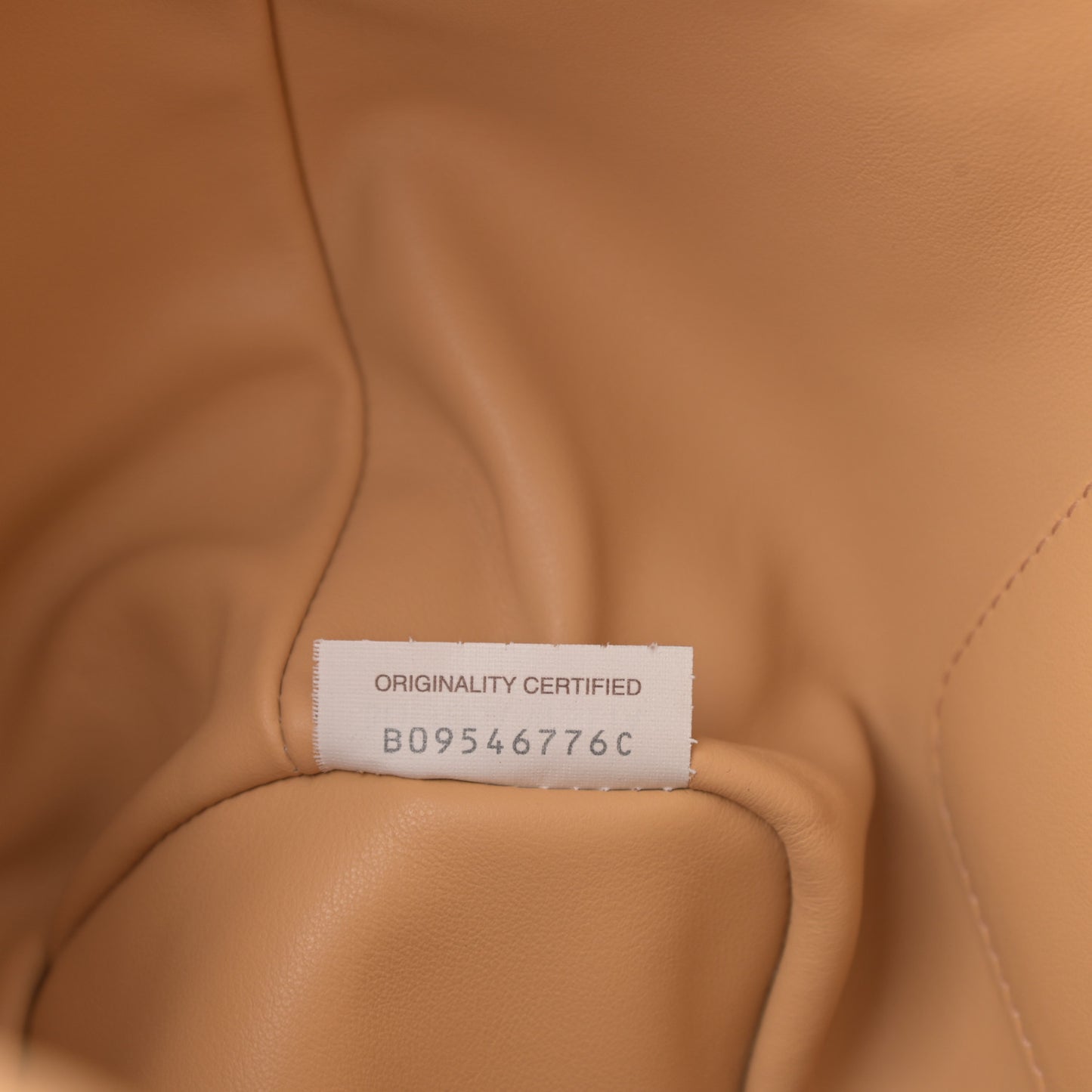 Calfskin Small Beak Tote Almond