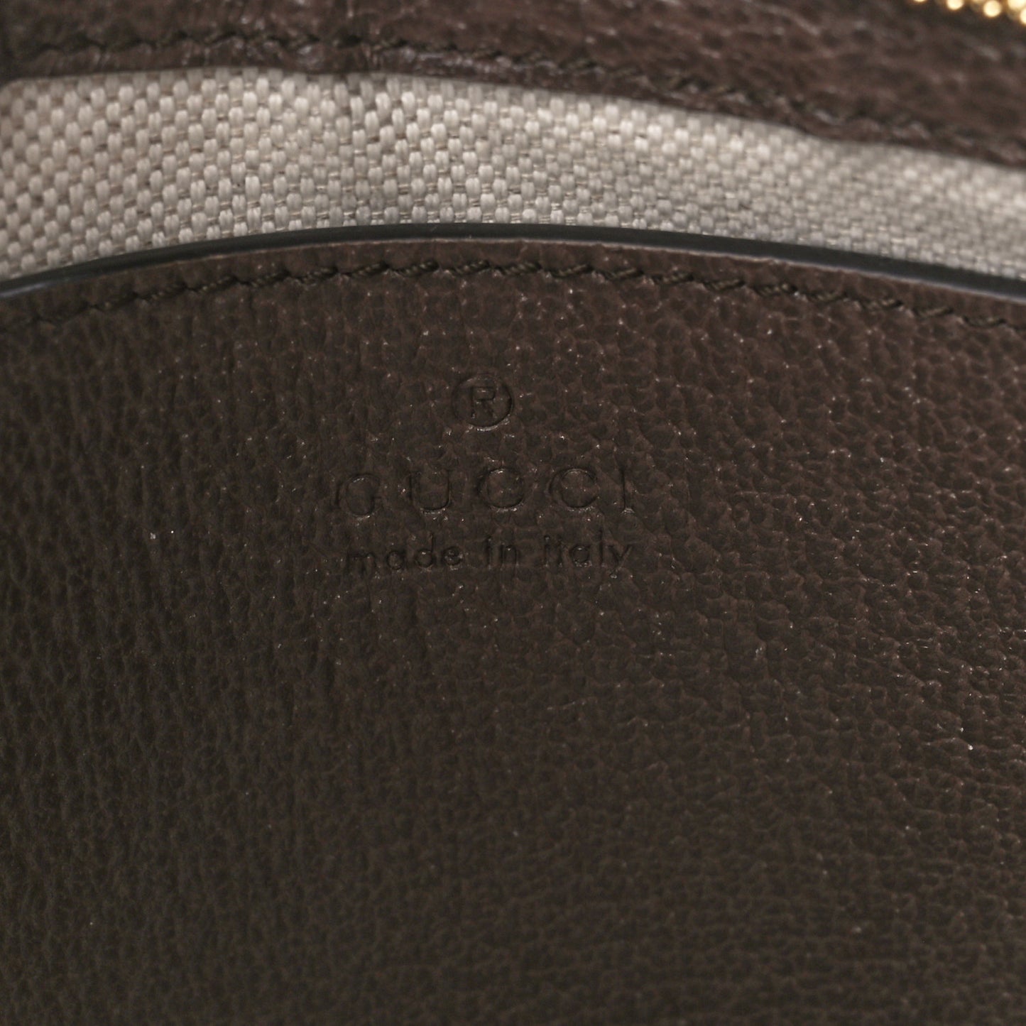 GG Supreme Monogram Textured Dollar Calfskin Web Small Ophidia GG Handbag Beige Ebony New Acero