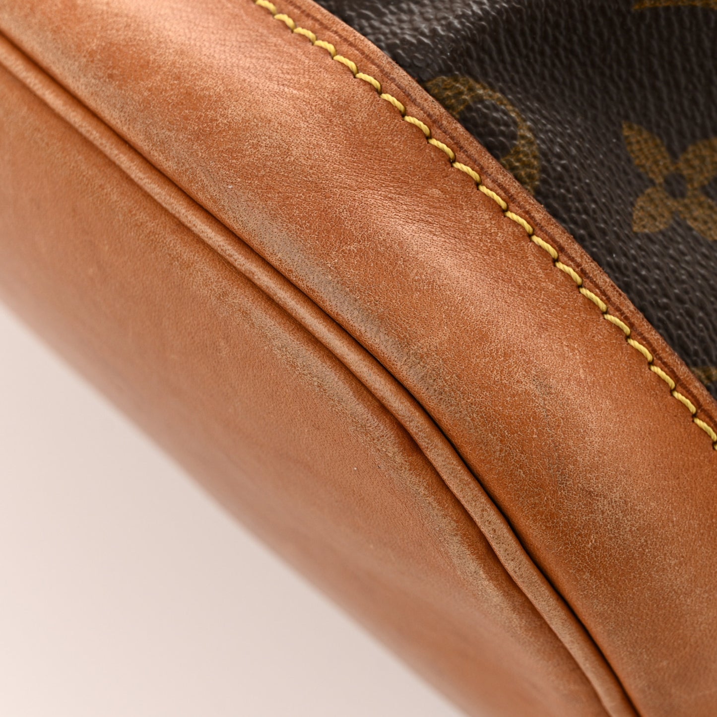 Monogram Montsouris GM Backpack