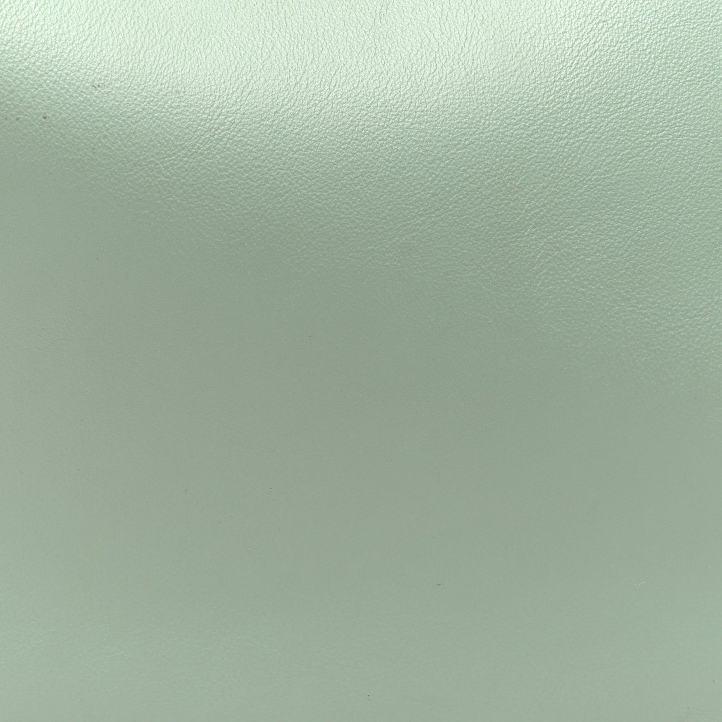 Vitello Grace Matte Small Fendigraphy Hobo Bag Menta