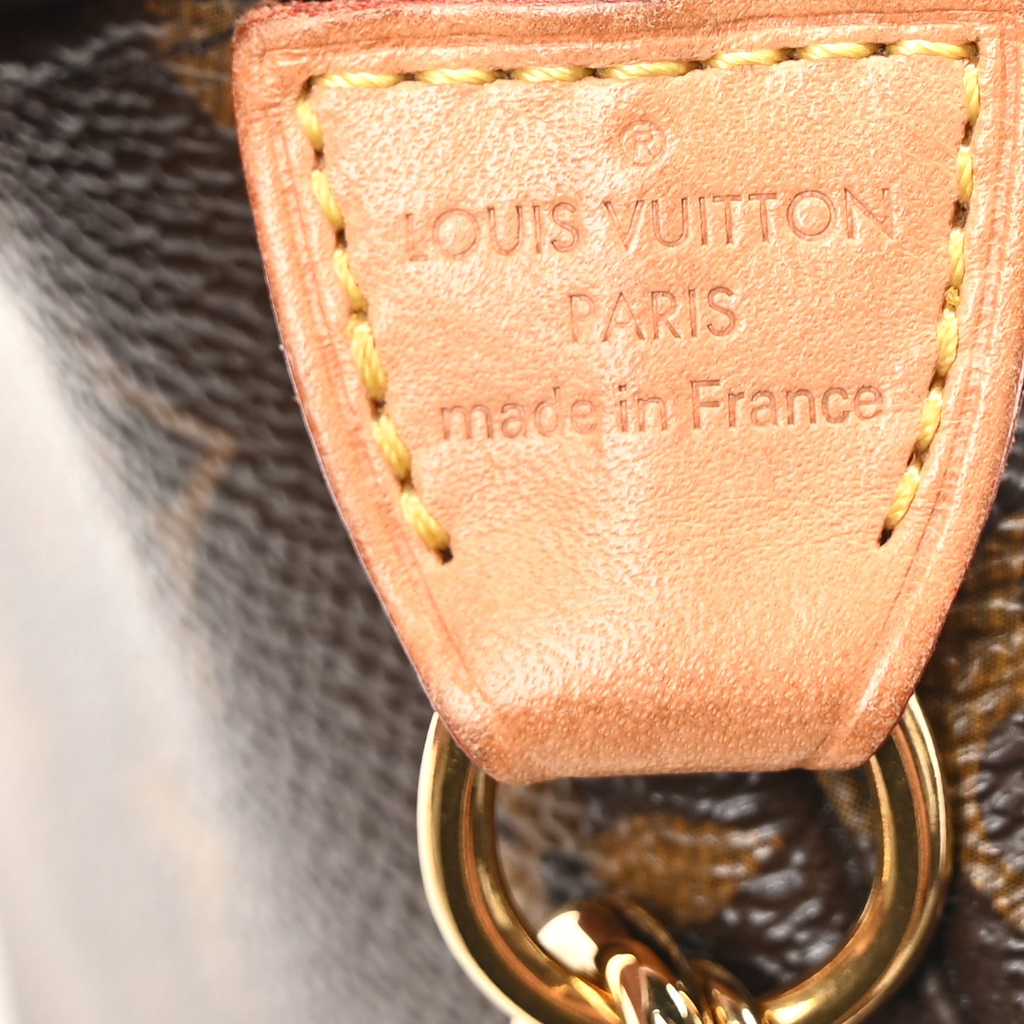 Monogram Mini Pochette Accessories