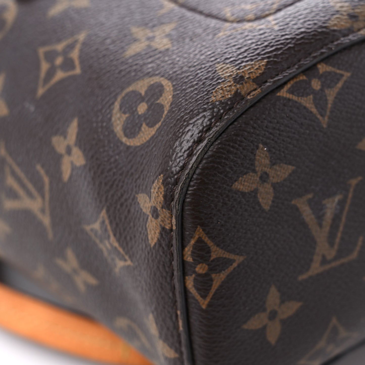 Monogram Montsouris NM Backpack