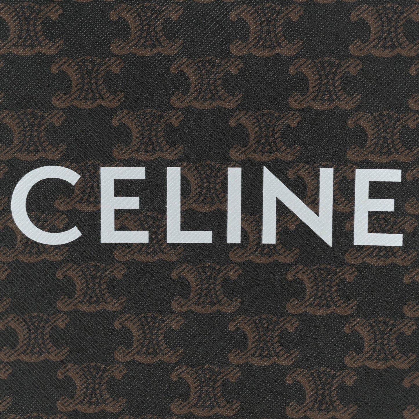 Triomphe Canvas Calfskin Mini Vertical Cabas Tan