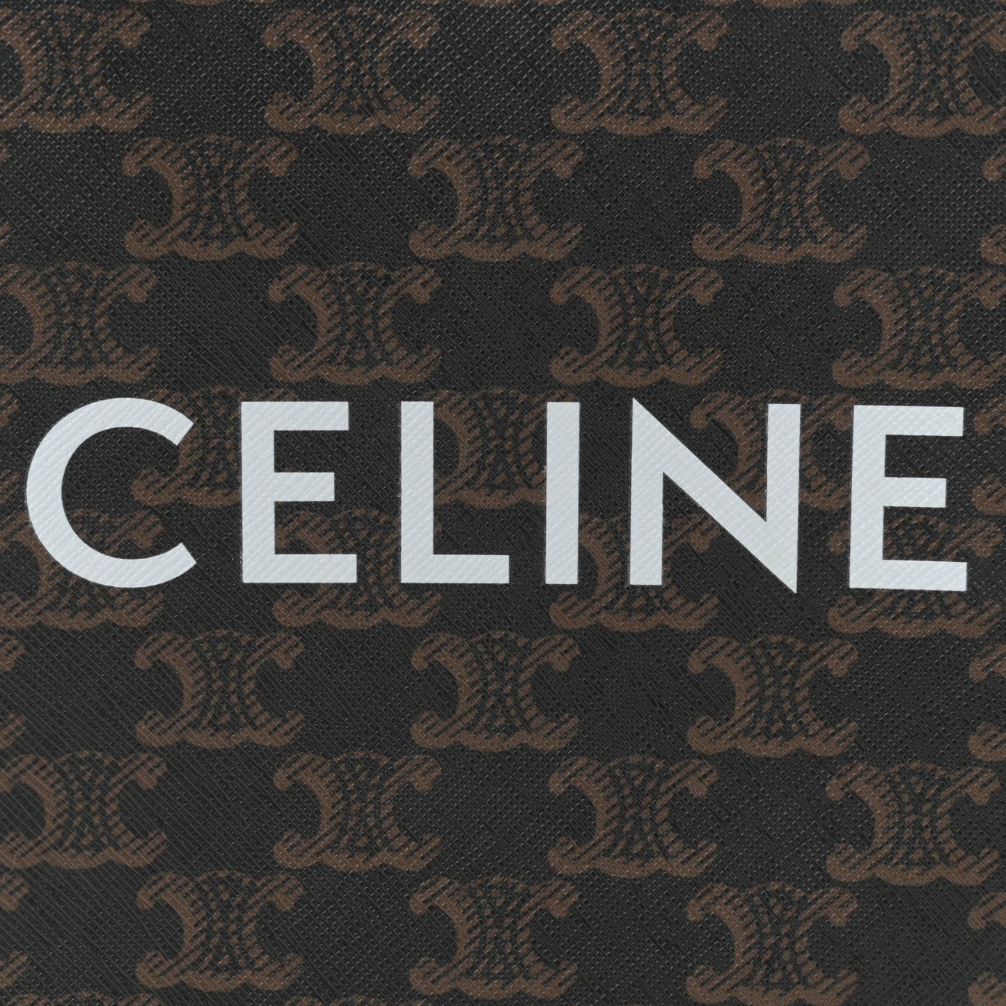Triomphe Canvas Calfskin Mini Vertical Cabas Tan