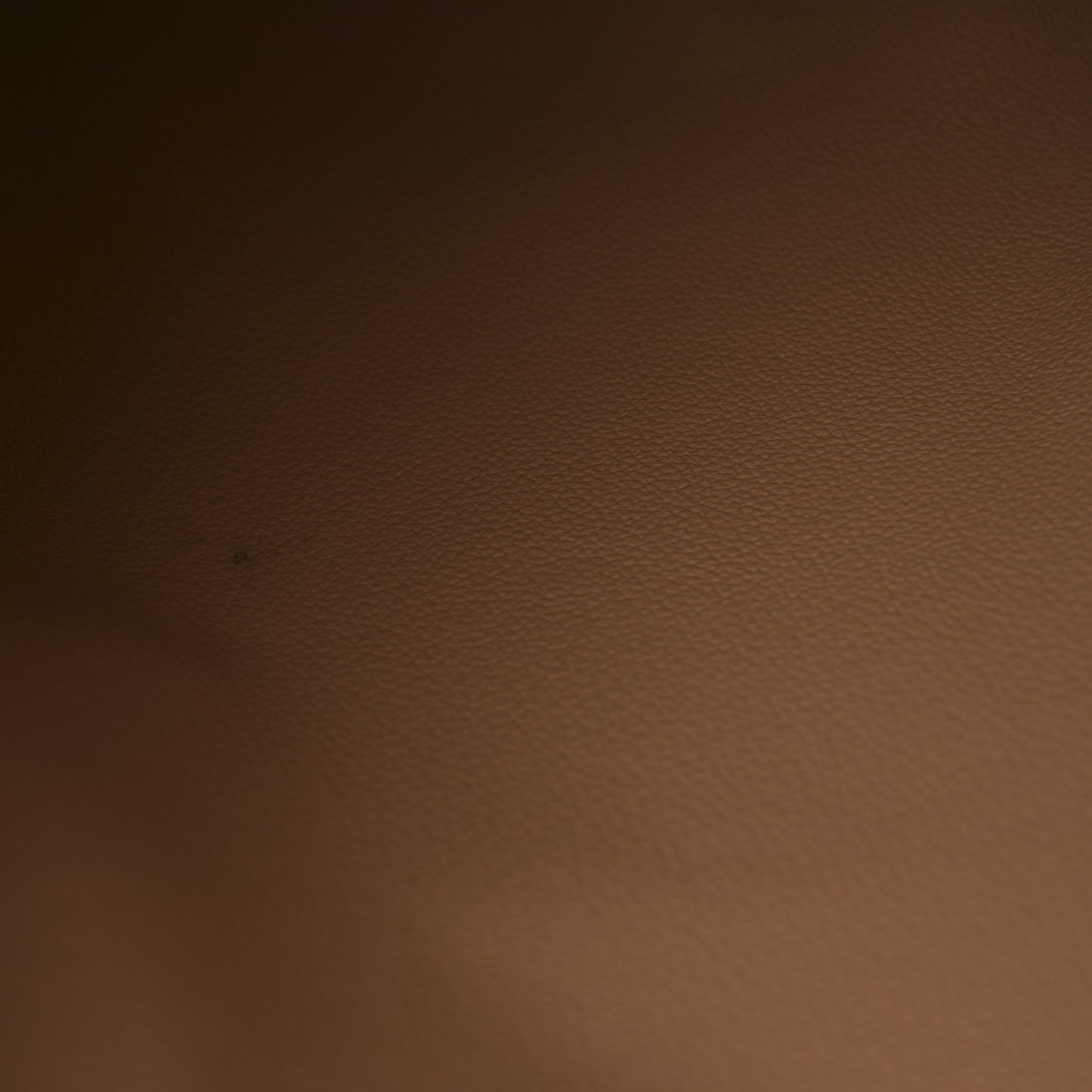 Monogram Sac Plat