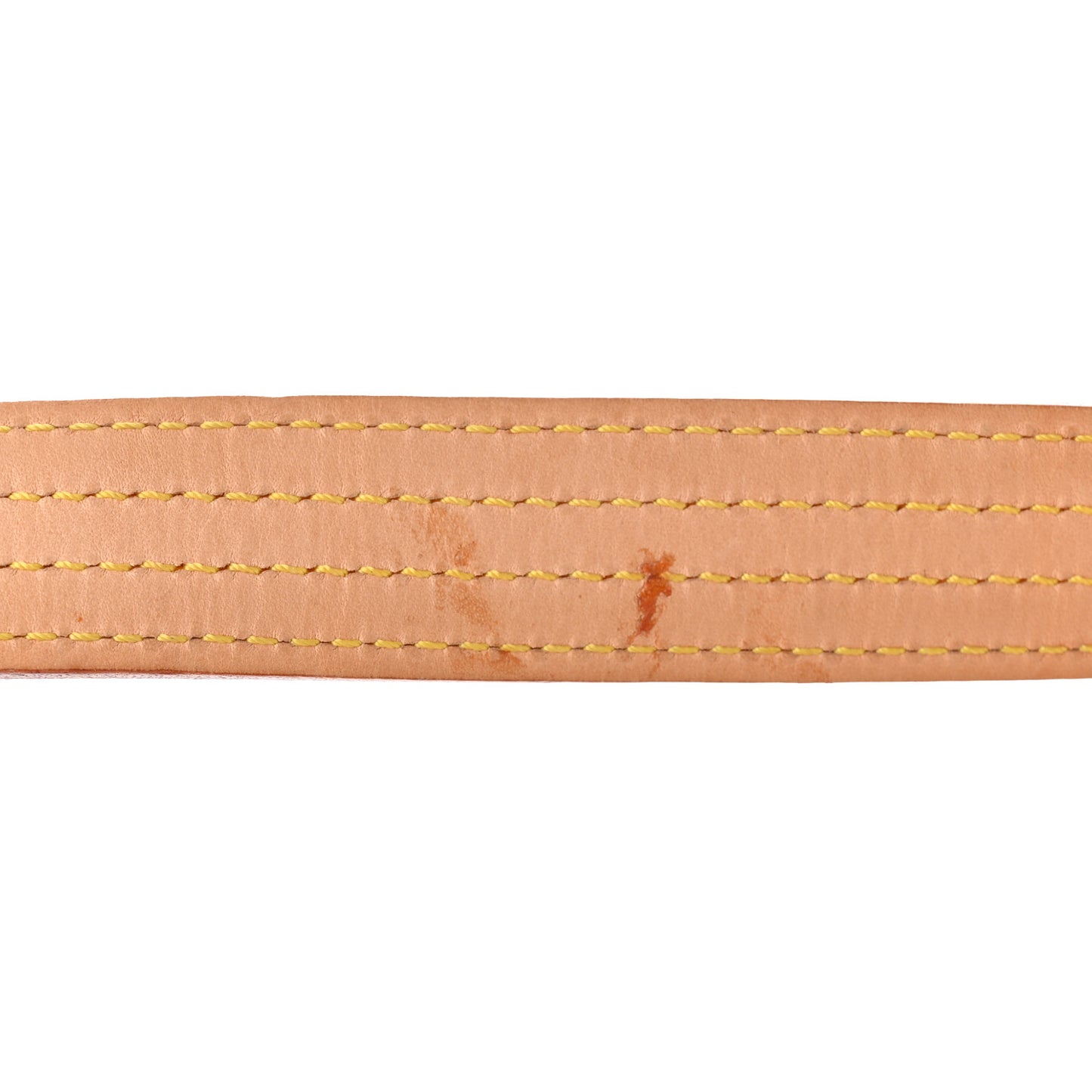 Monogram Viva-Cite MM