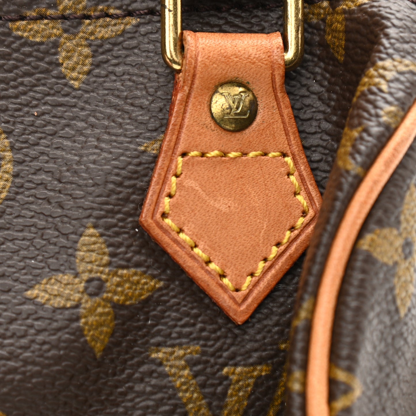 Monogram Mini Sac HL Speedy