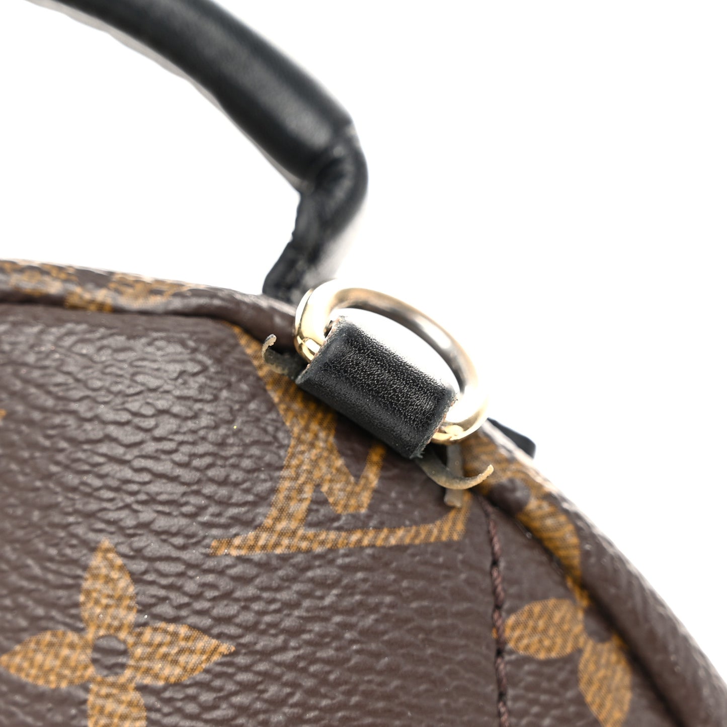 Monogram Palm Springs Backpack Mini