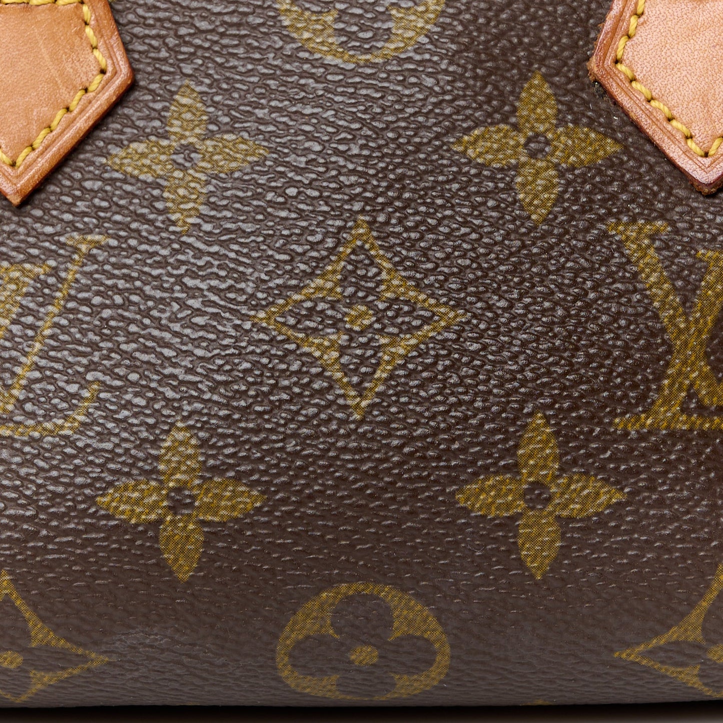 Monogram Mini Sac HL Speedy