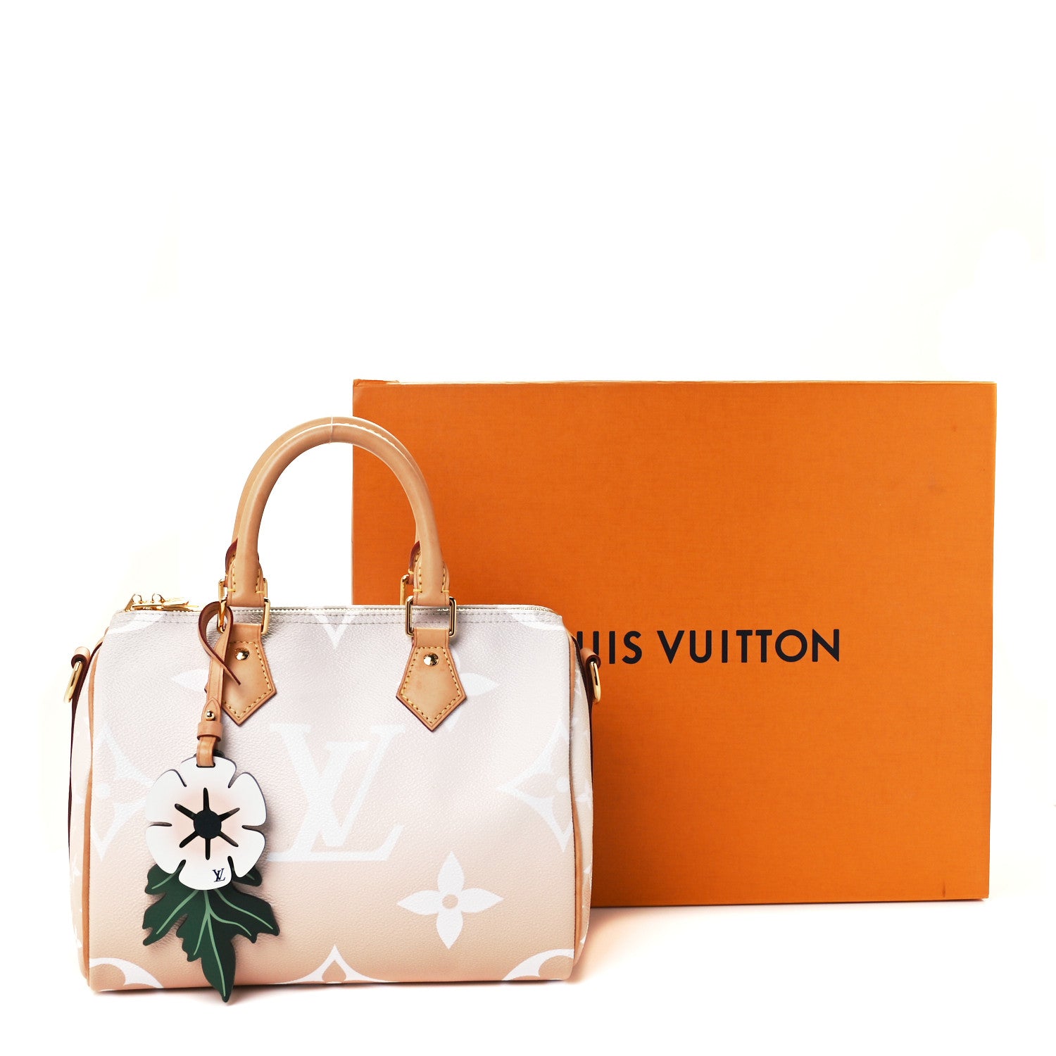 Louis Vuitton Monogram Giant By The Pool Speedy Bandouliere 25 Brume 11 of 11