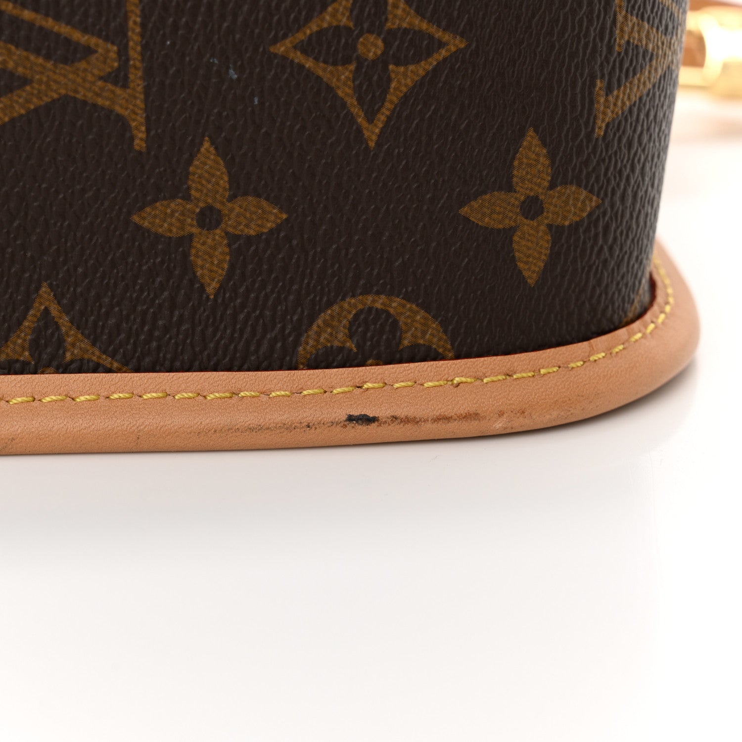 Louis Vuitton Monogram Diane 12 of 13