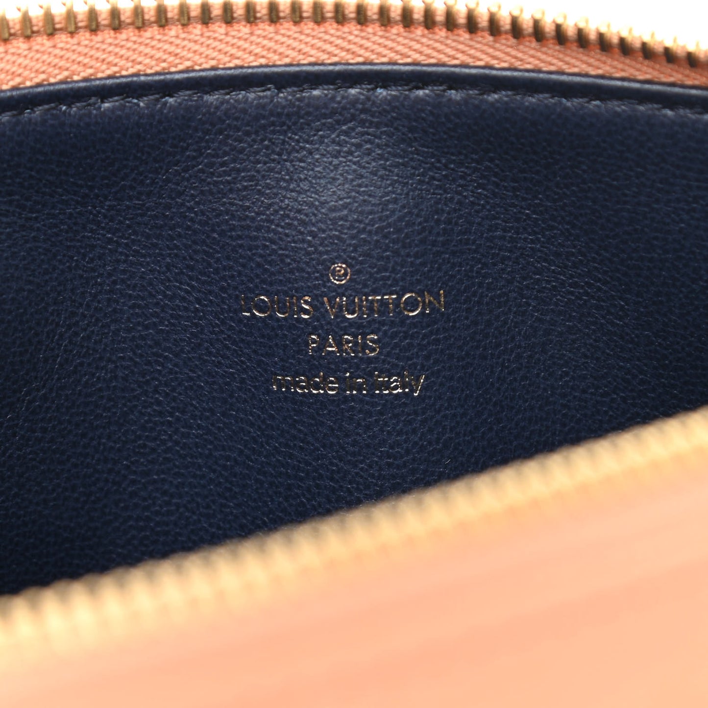 Lambskin Embossed Monogram Coussin PM Camel