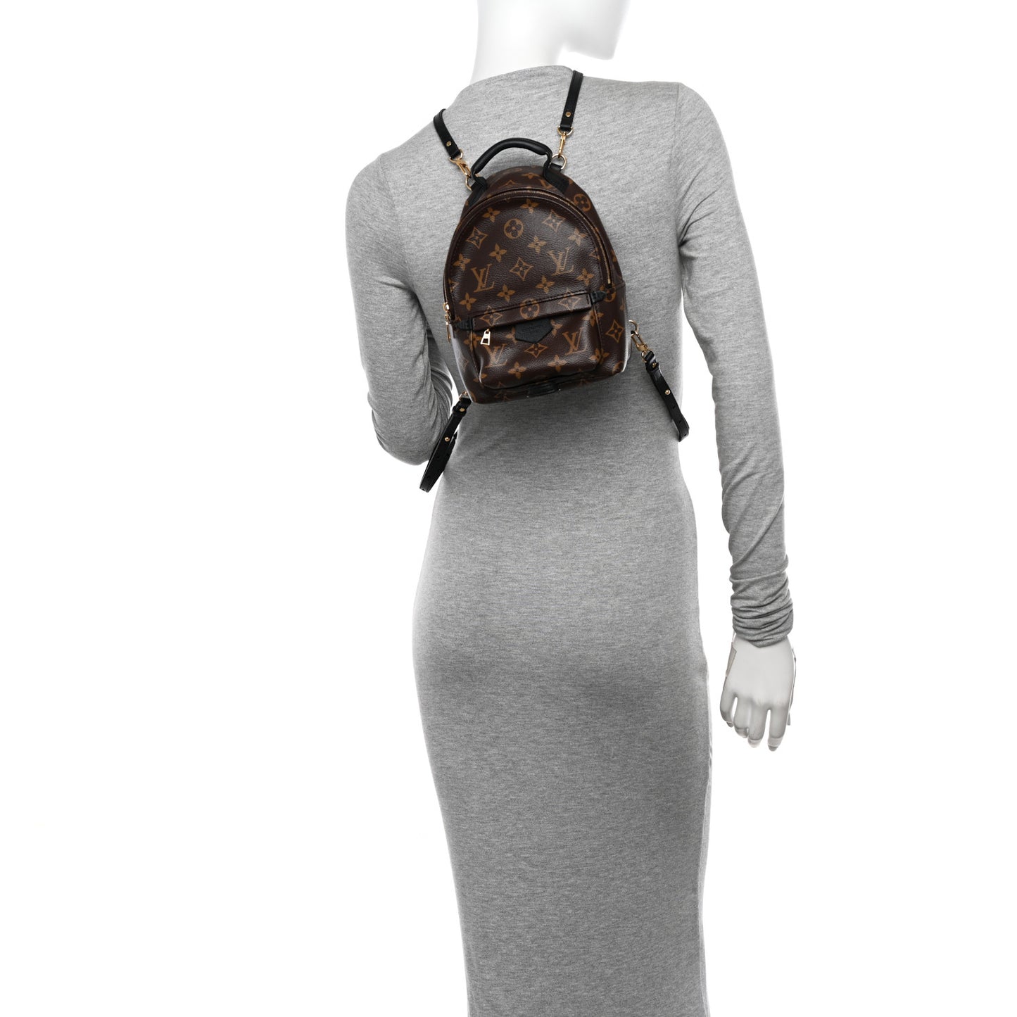 Monogram Palm Springs Backpack Mini