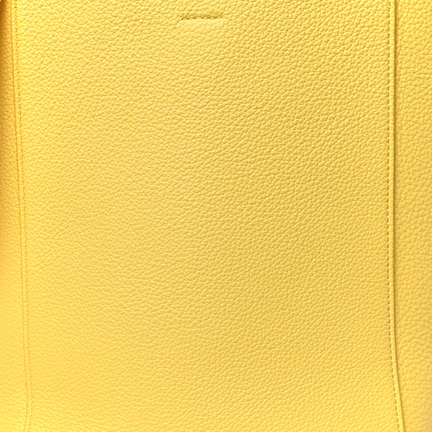Soft Grained Calfskin Small Sangle Bucket Bag Citron