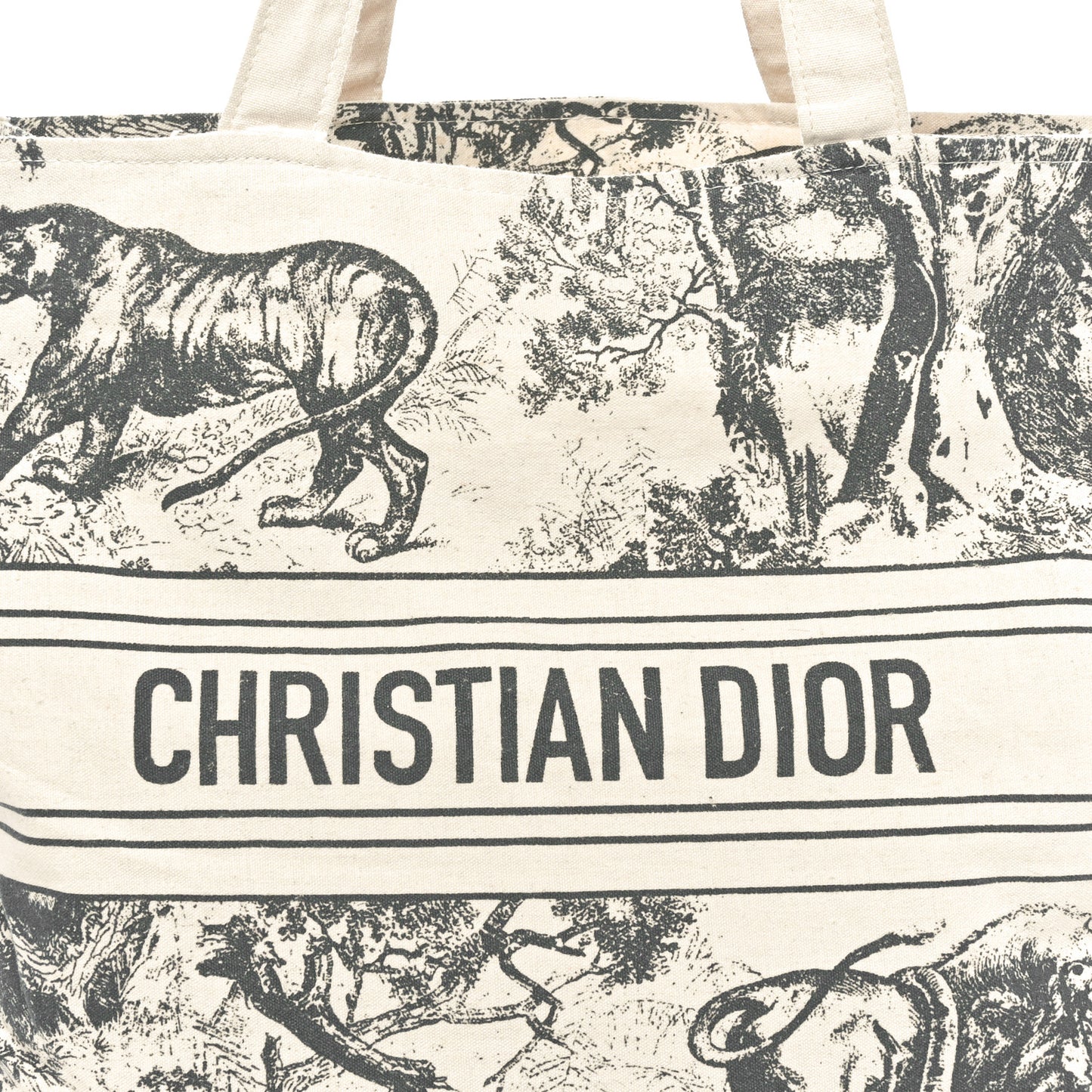 Straw Dioriviera Tote Grey
