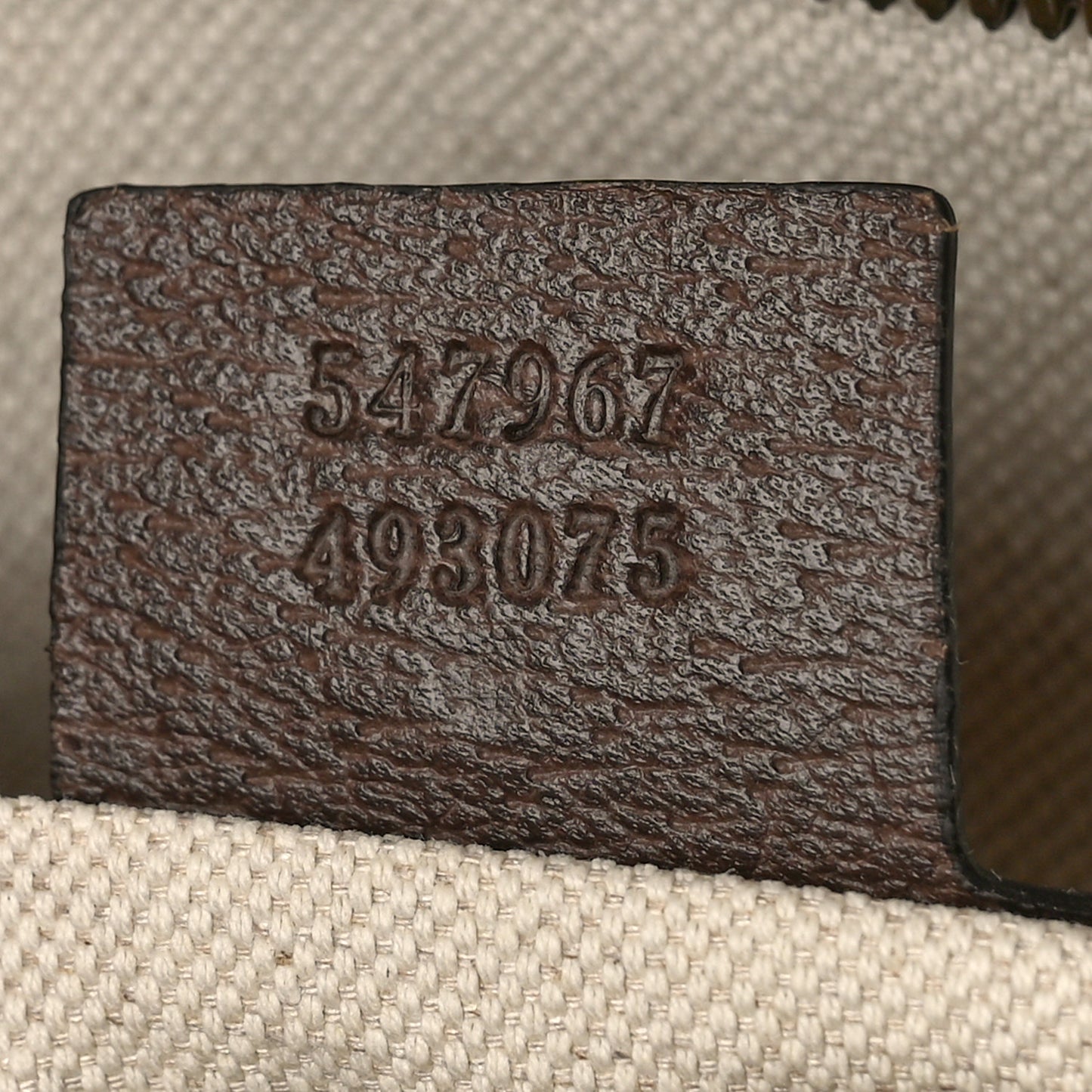 GG Supreme Monogram Medium Ophidia Day Backpack Brown
