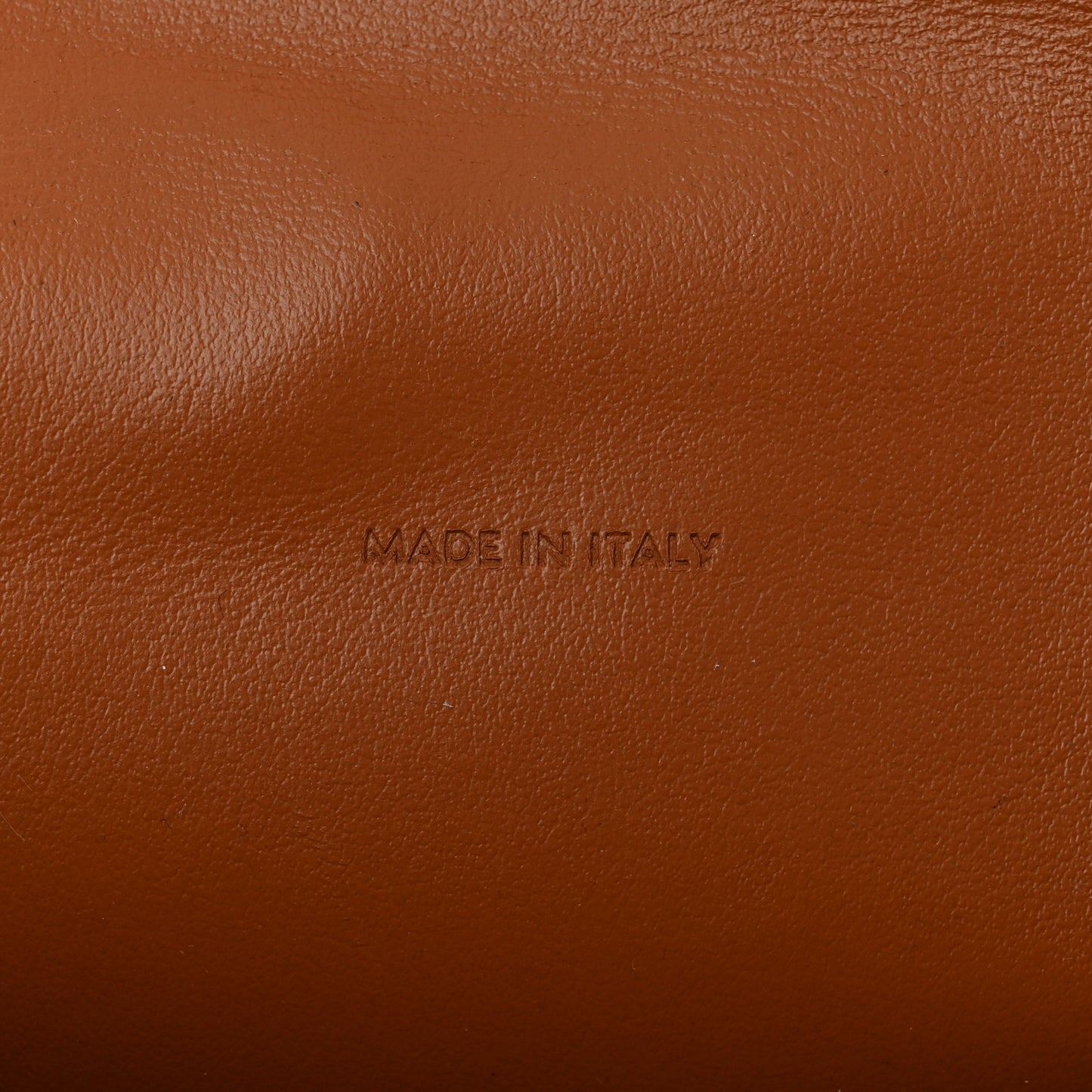 Triomphe Canvas Lambskin Wallet On Strap Tan