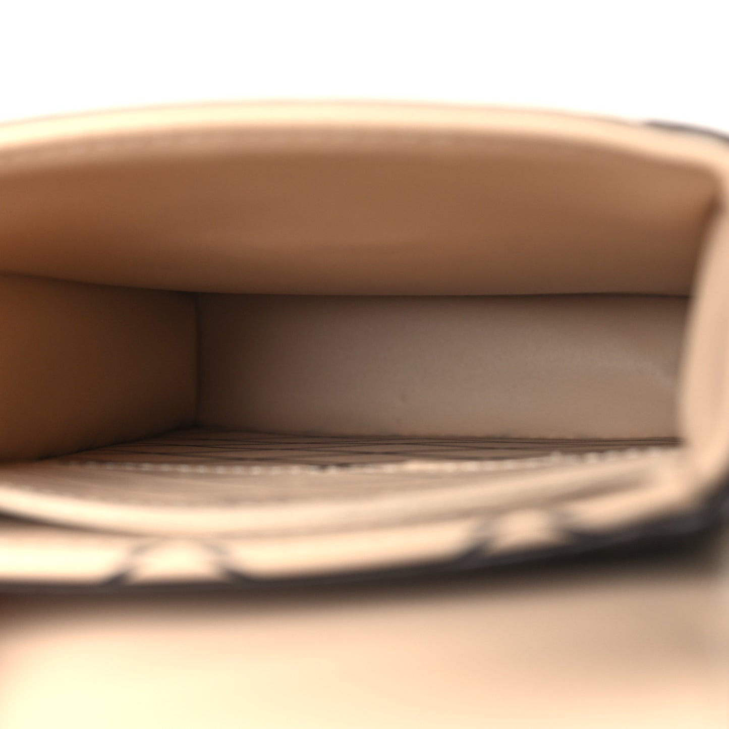 Reverse Monogram Pochette Trunk Verticale