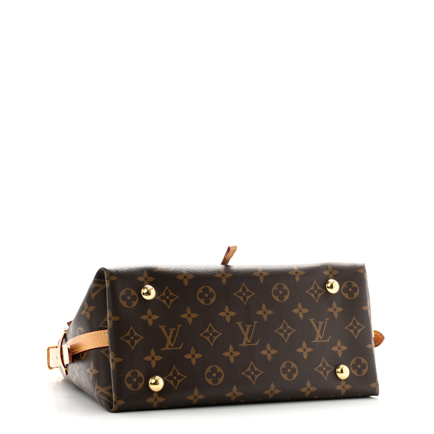 Monogram CarryAll PM