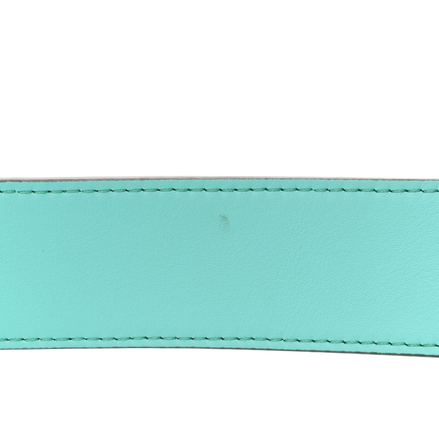 Rolling Stone Vitello Seta Bead Embroidered Re-Edition Baguette Spring Turquoise