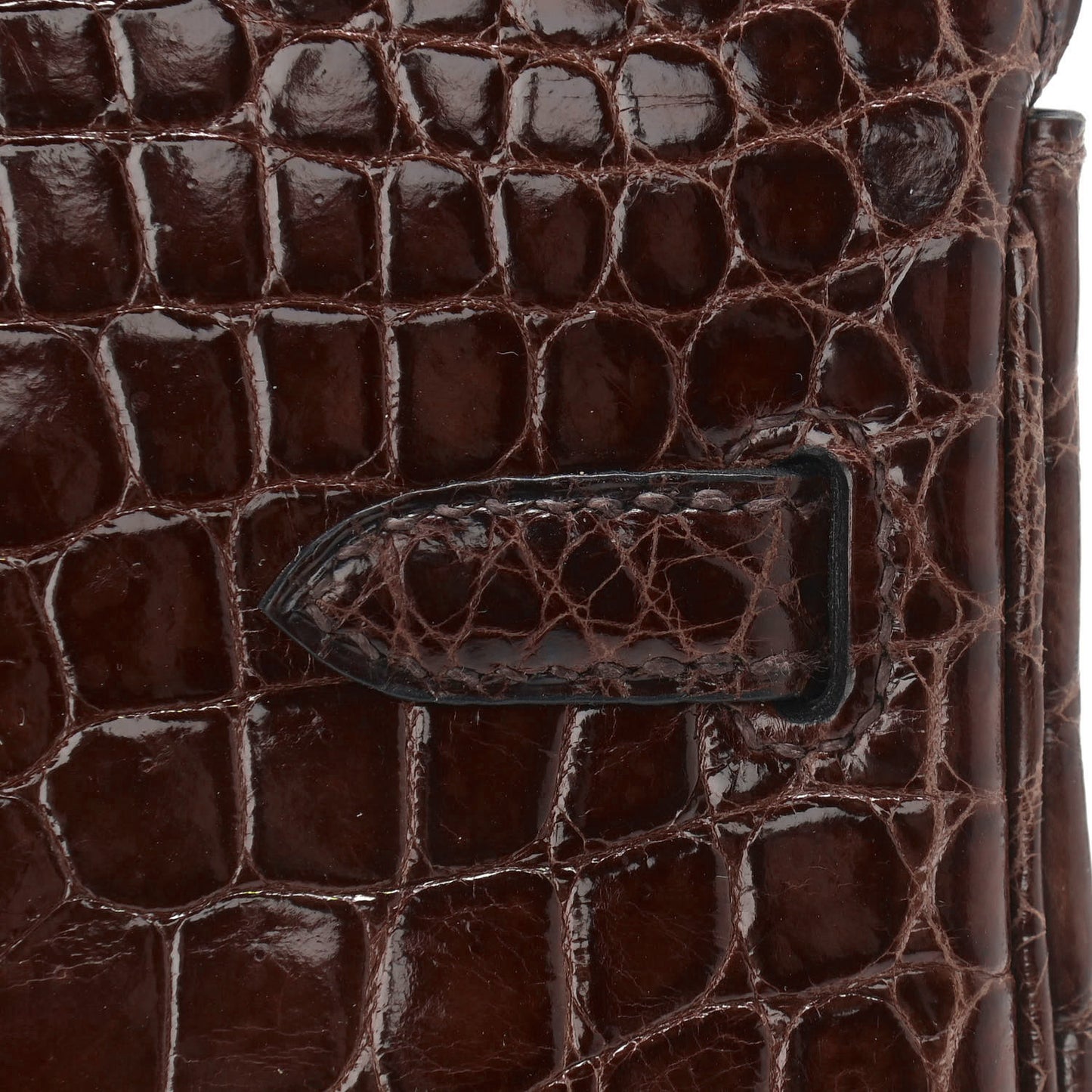 Shiny Niloticus Crocodile Birkin 25 Miel