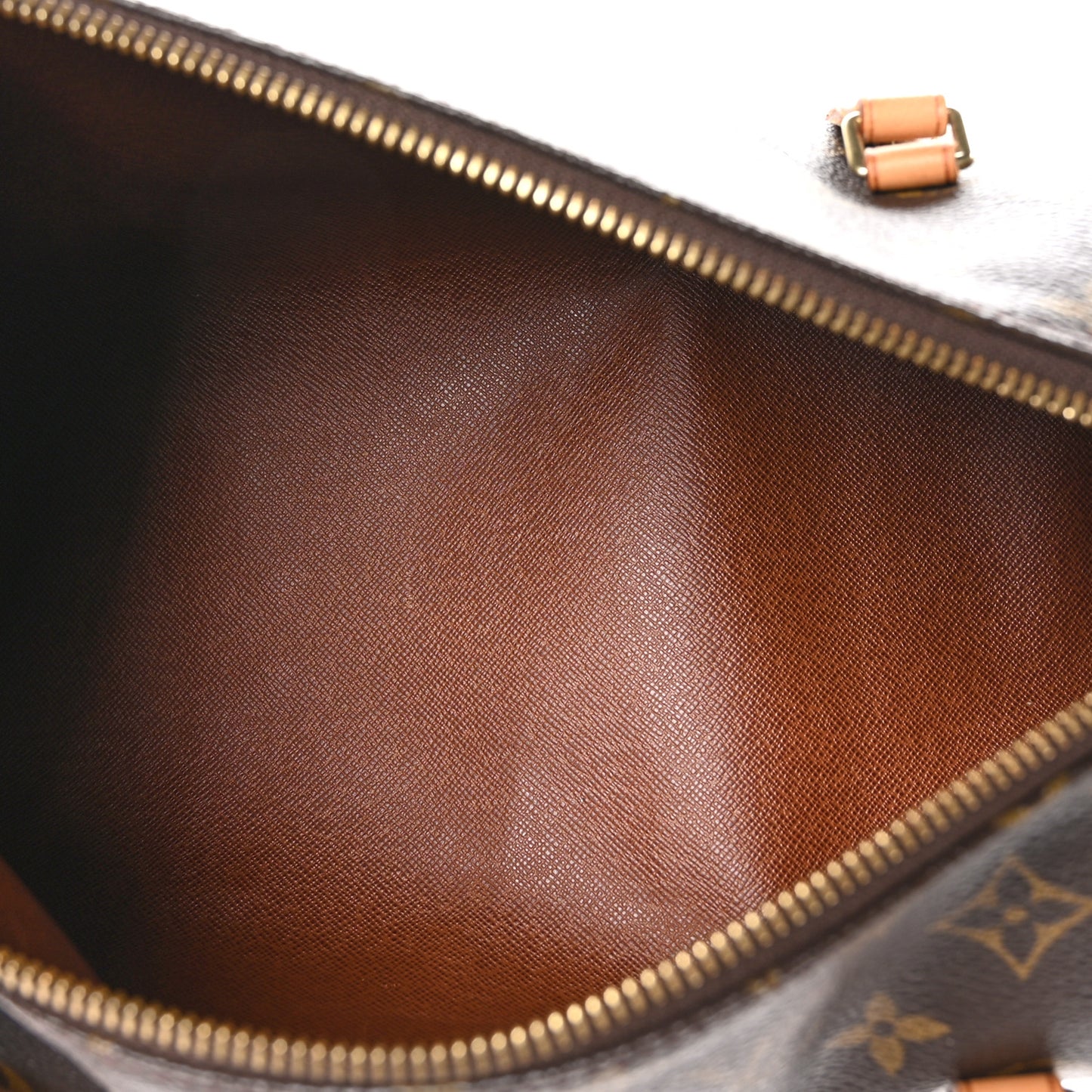 Monogram Papillon 30 with Companion