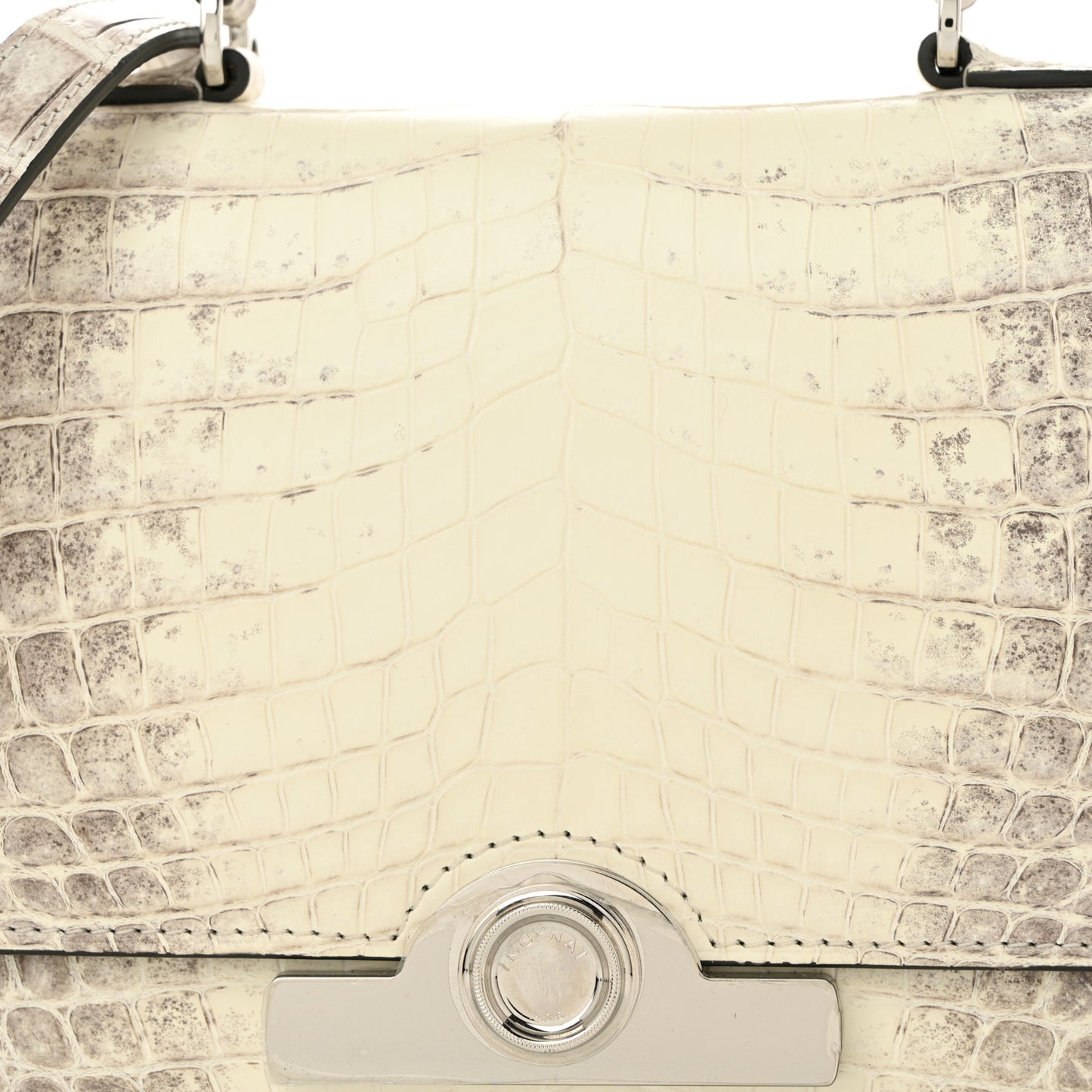 Niloticus Crocodile Himalaya Rejane BB White