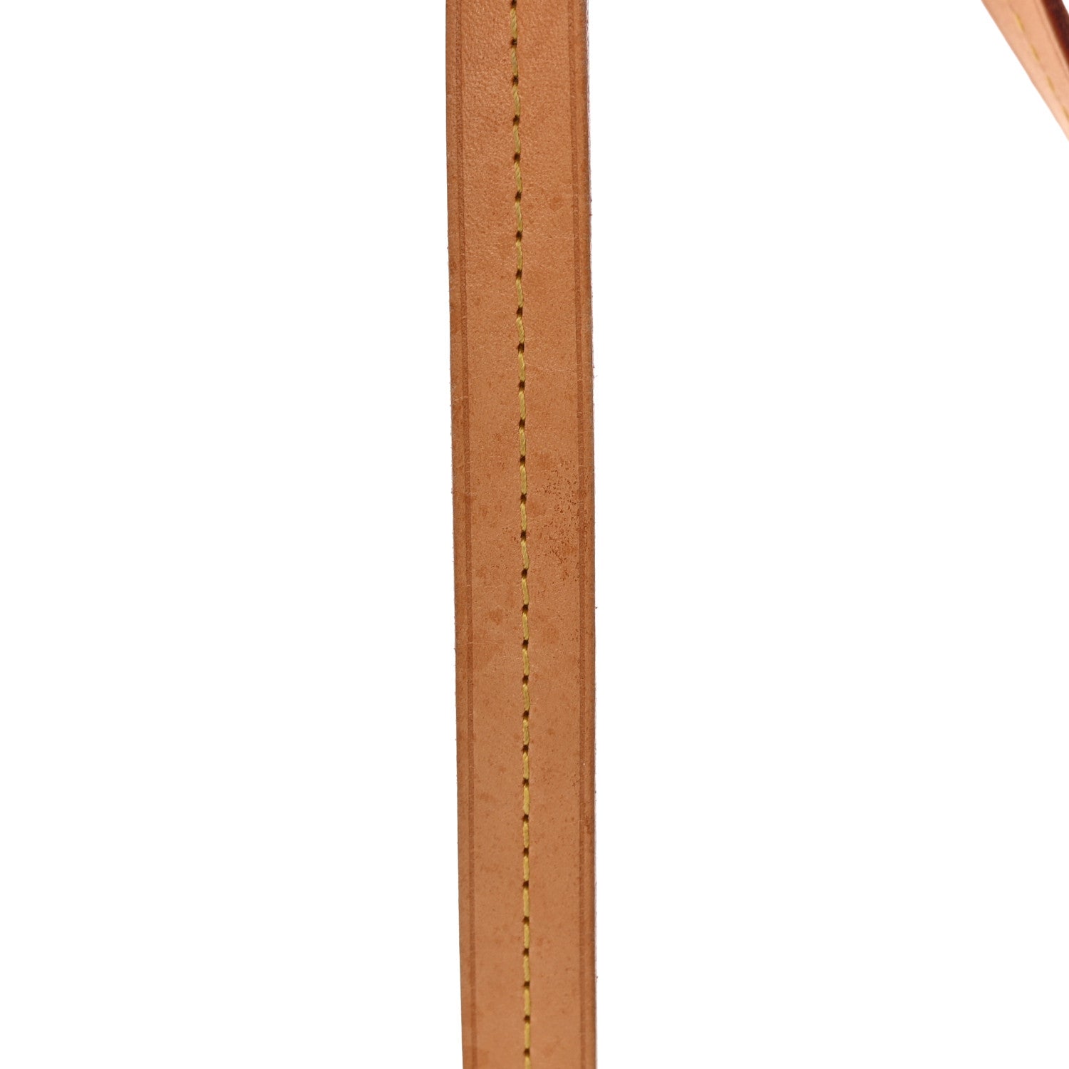 Louis Vuitton Monogram Iena MM 19 of 21