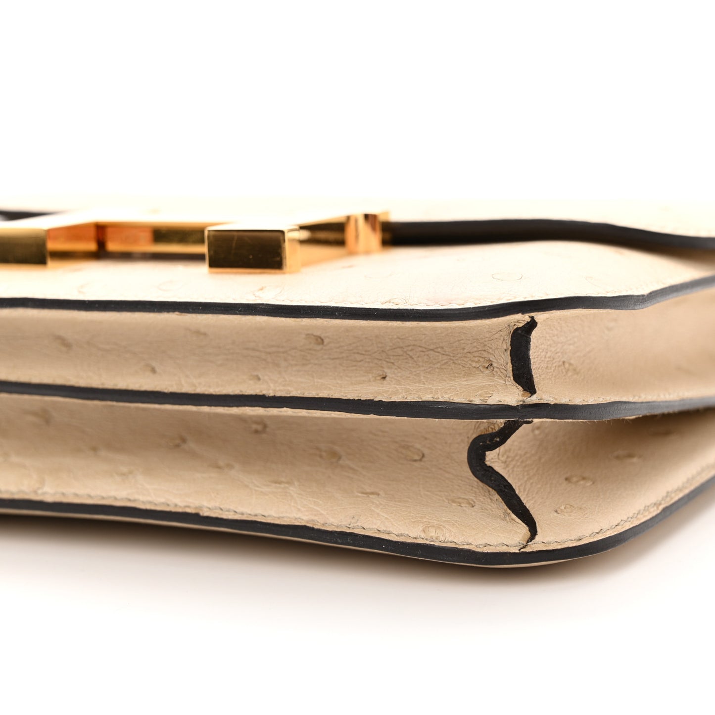 Ostrich Constance 18 Parchemin