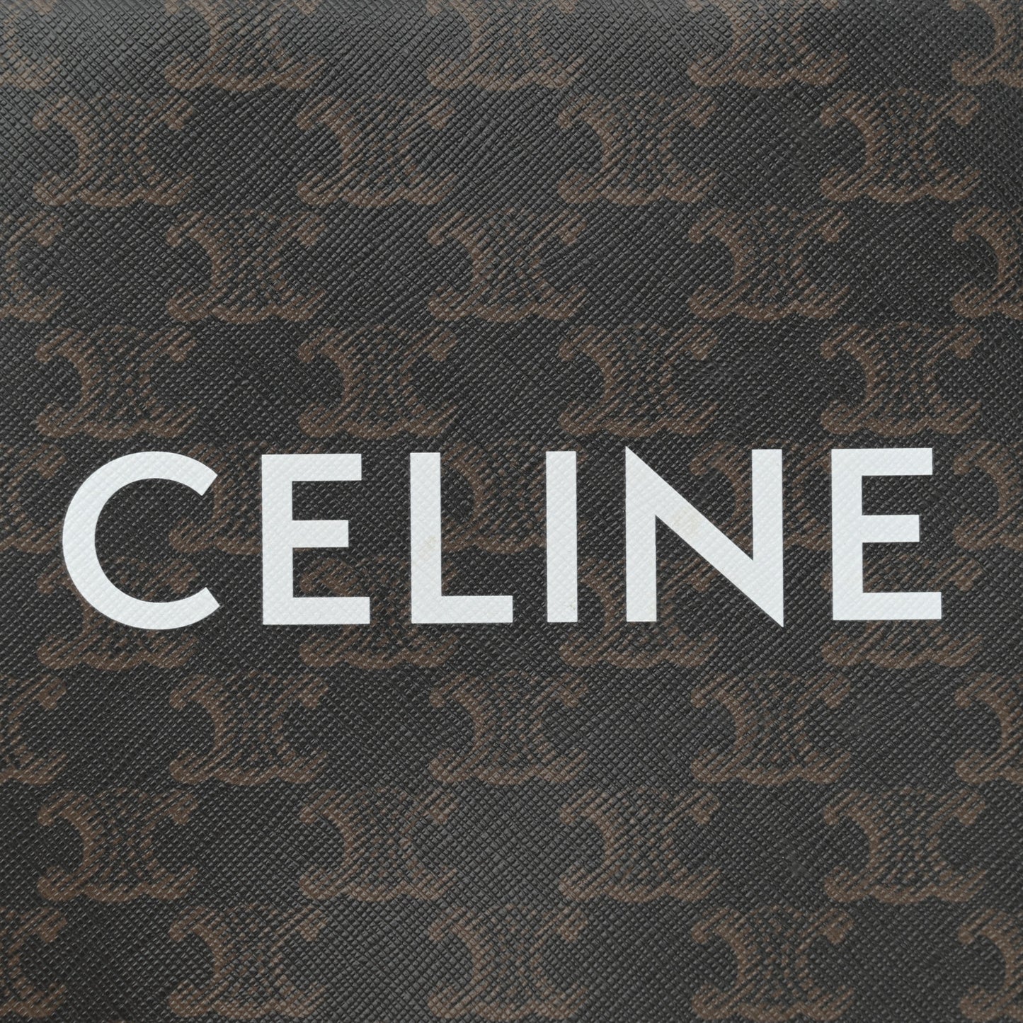 Triomphe Canvas Calfskin Mini Vertical Cabas Tan