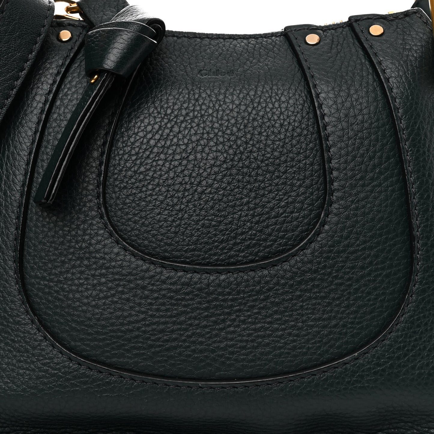 Grained Calfskin Nano Hayley Hobo Rainforest