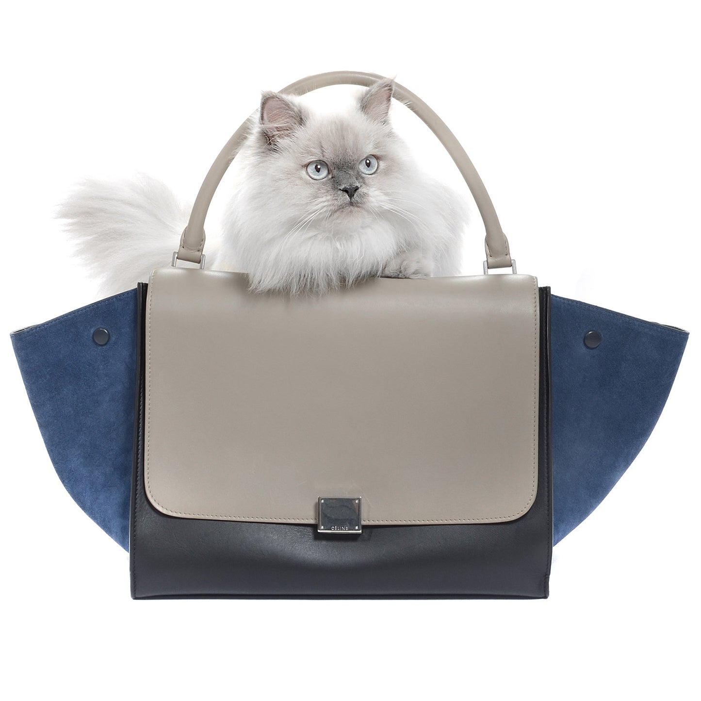 FASHIONPHILE Pet Picks Calendar