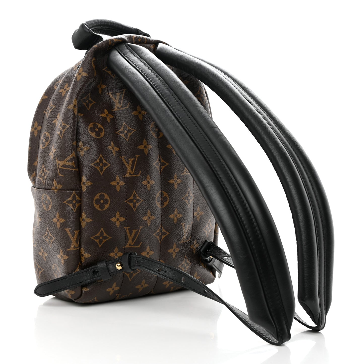 Monogram Palm Springs Backpack PM