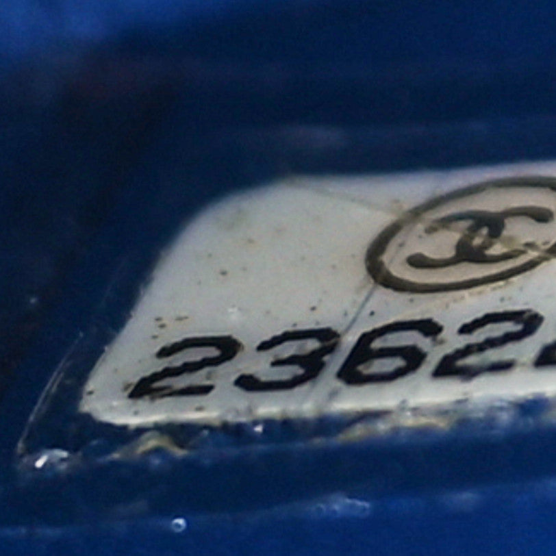 Snakeskin Mini Rectangular Flap Blue