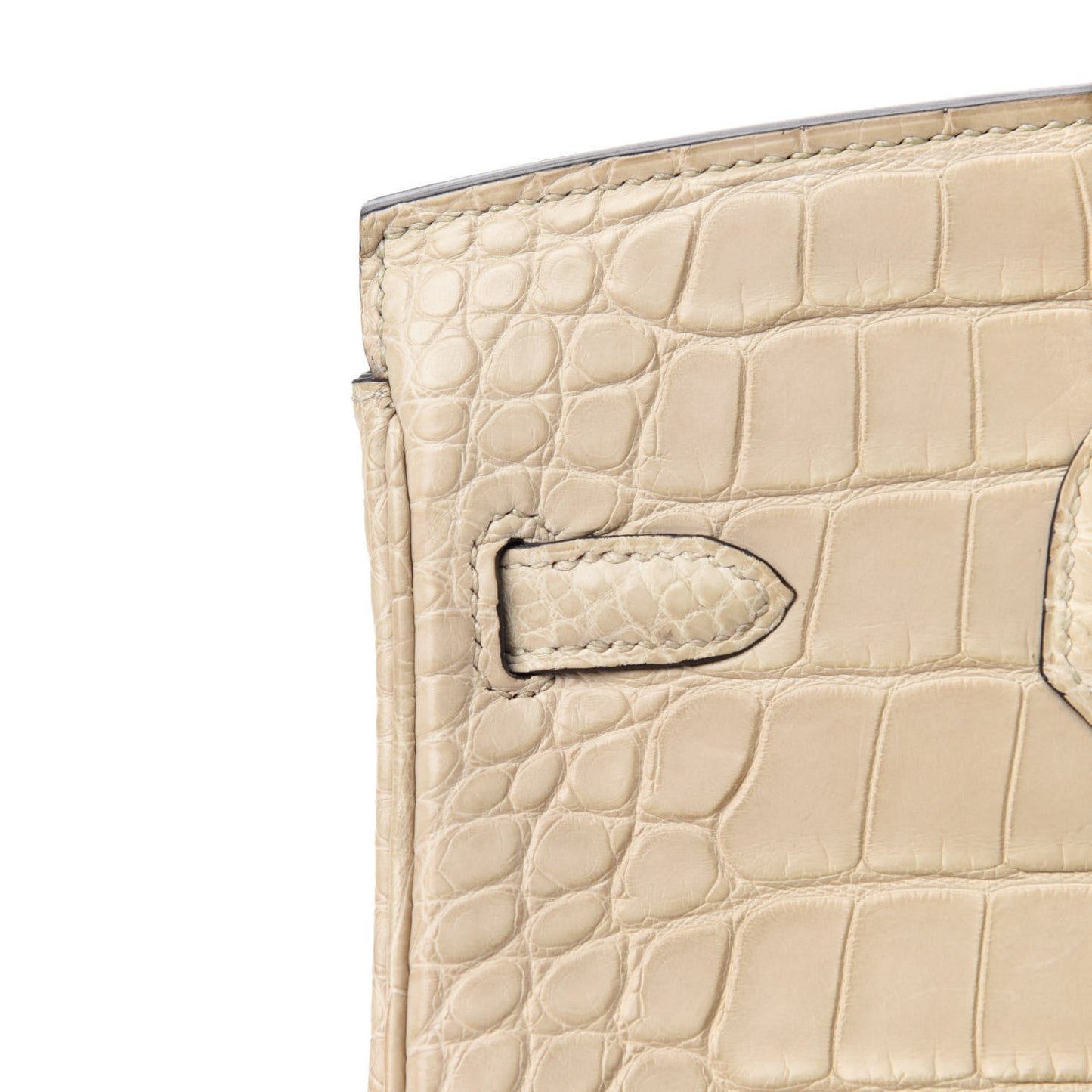 Matte Alligator Birkin 25 Trench