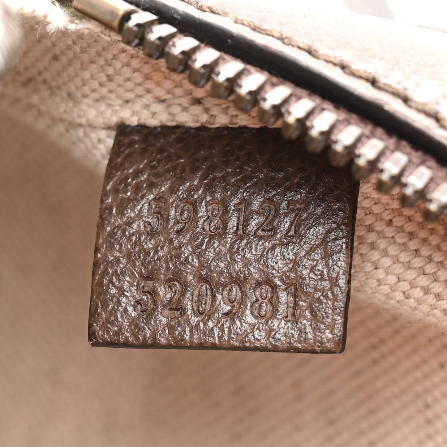 GG Supreme Monogram Web Mini Ophidia Messenger Brown