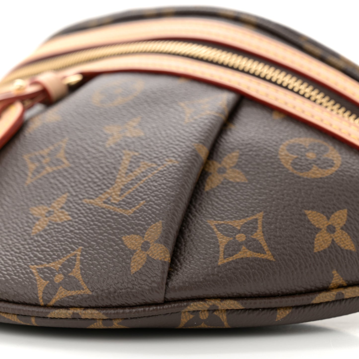 Monogram High Rise Bumbag