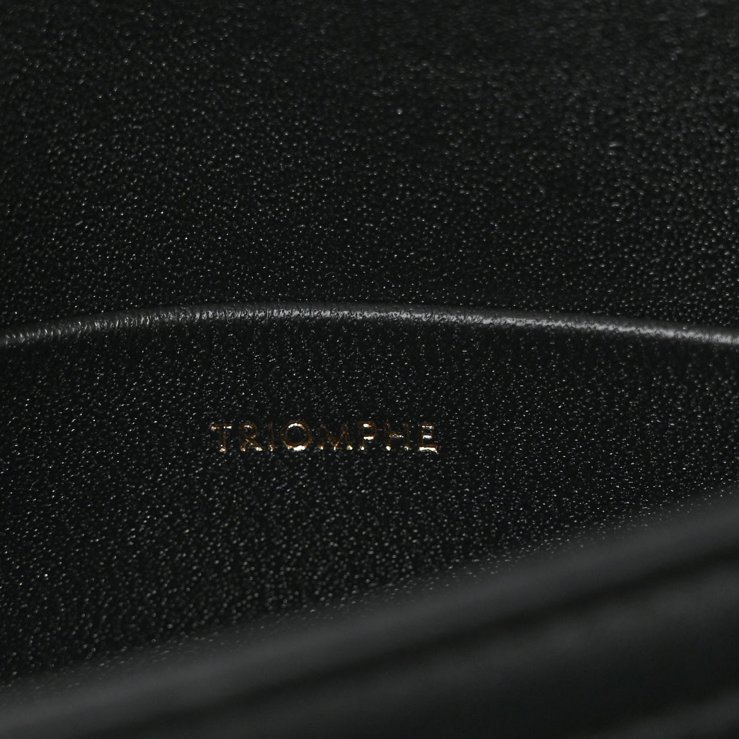 Celine Shiny Calfskin Teen Triomphe Black 7 of 12