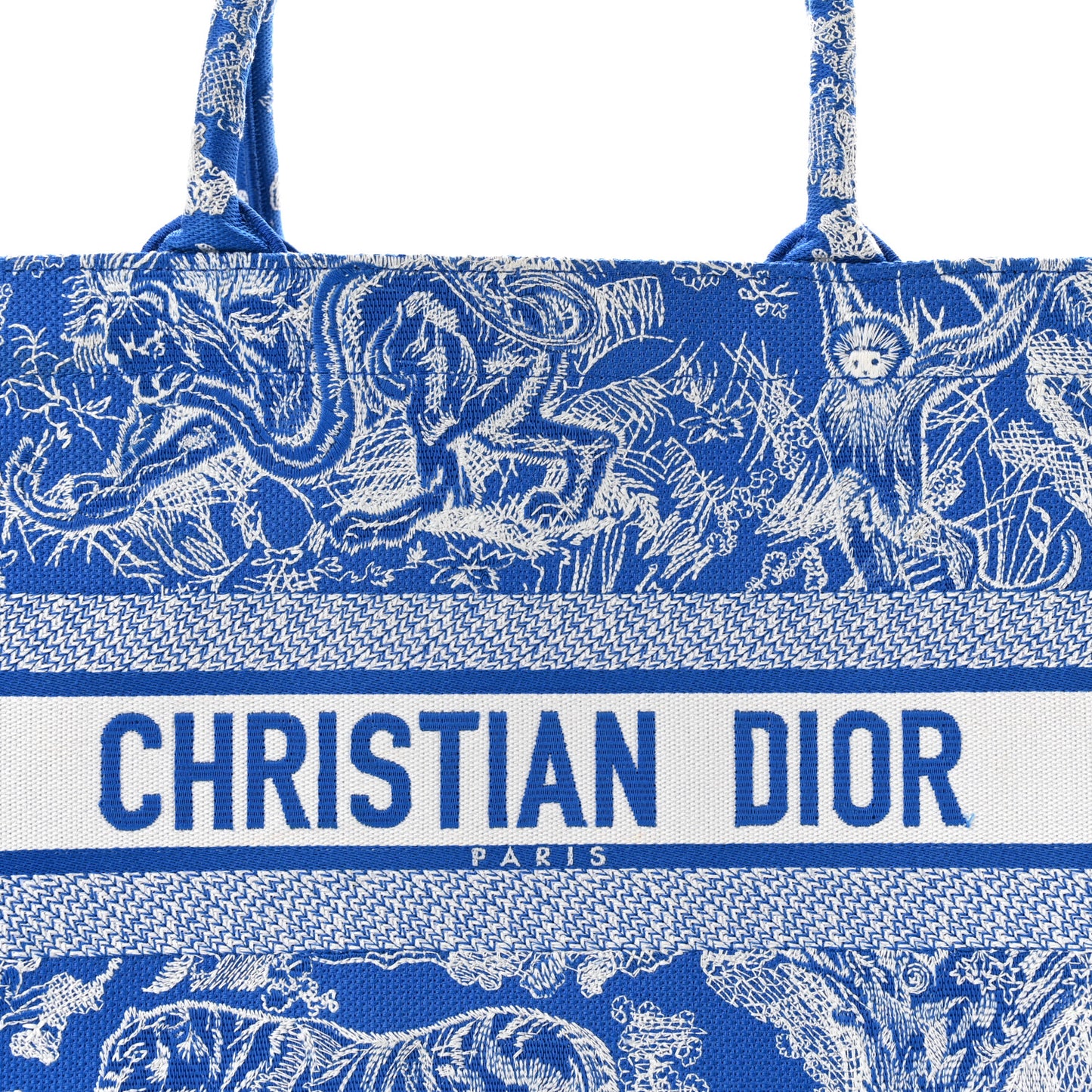 Canvas Embroidered Medium Dioriviera Toile De Jouy Book Tote Fluorescent Blue