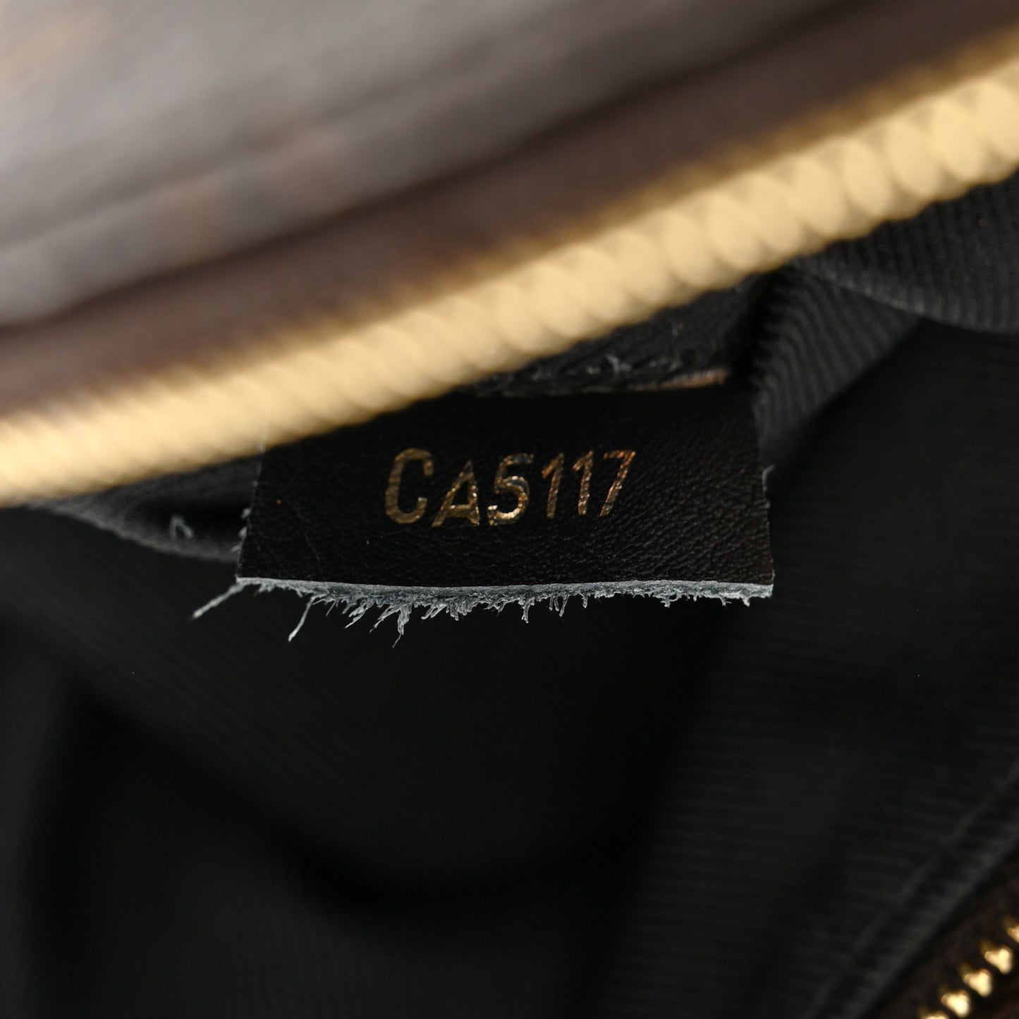 Monogram Palm Springs Backpack Mini