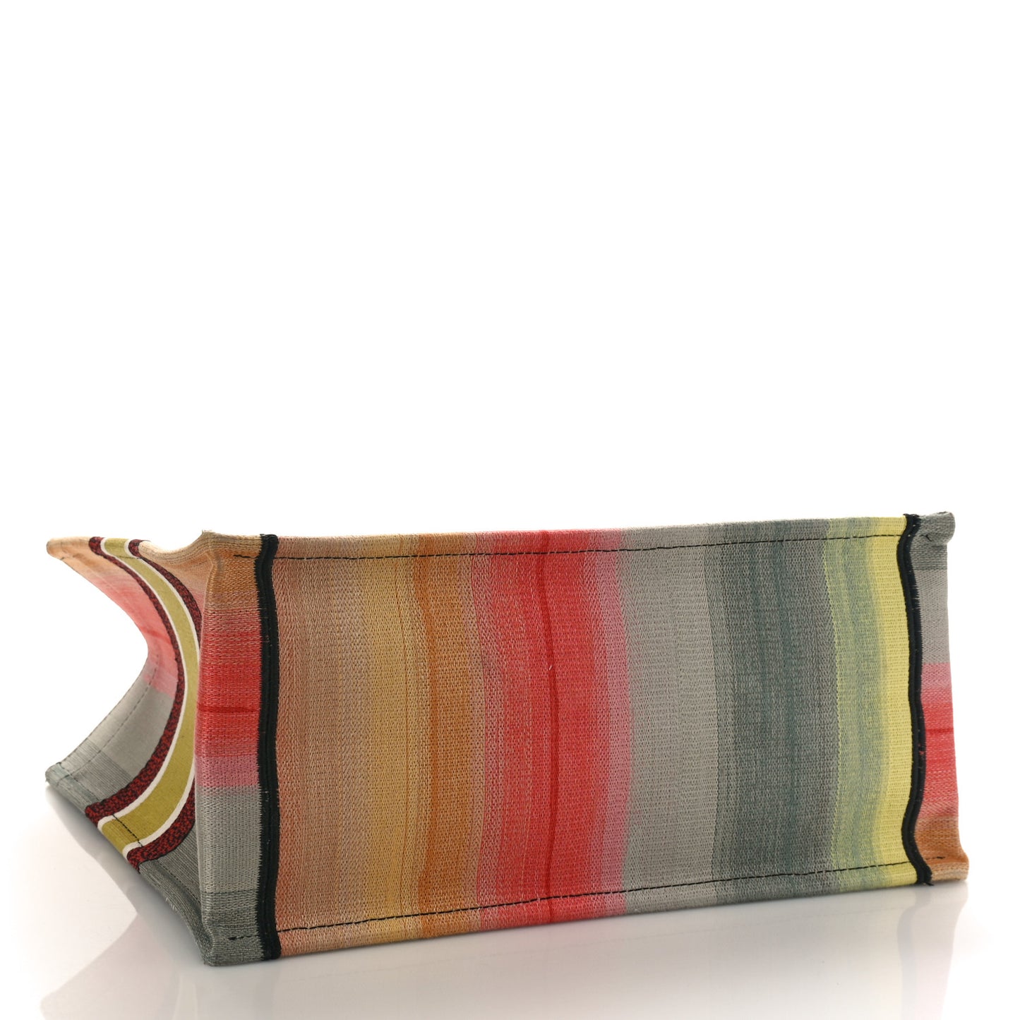 Canvas Embroidered Medium Dioraura Book Tote Multicolor