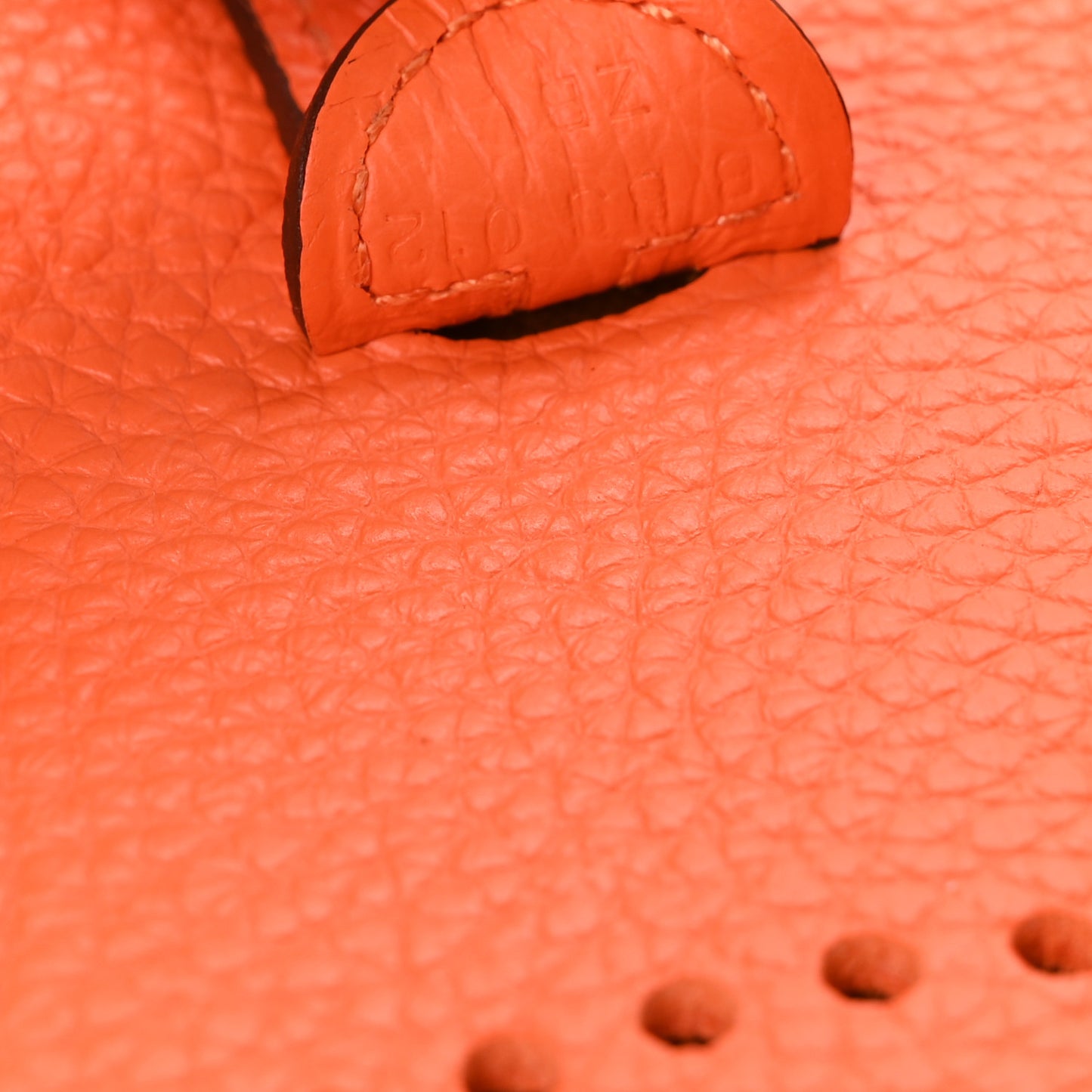 Taurillon Clemence Evelyne TPM Orange