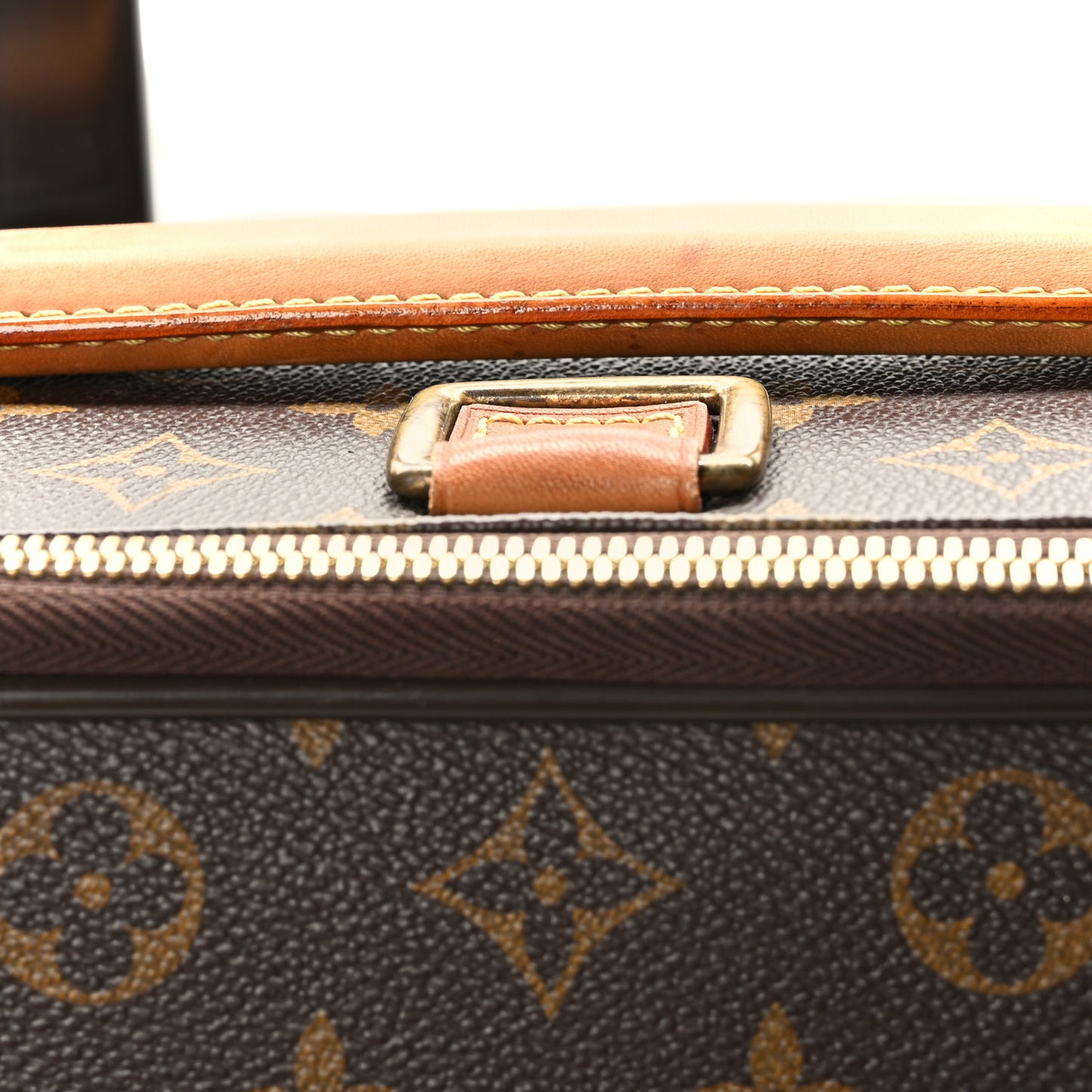 Monogram Pegase 55 Business