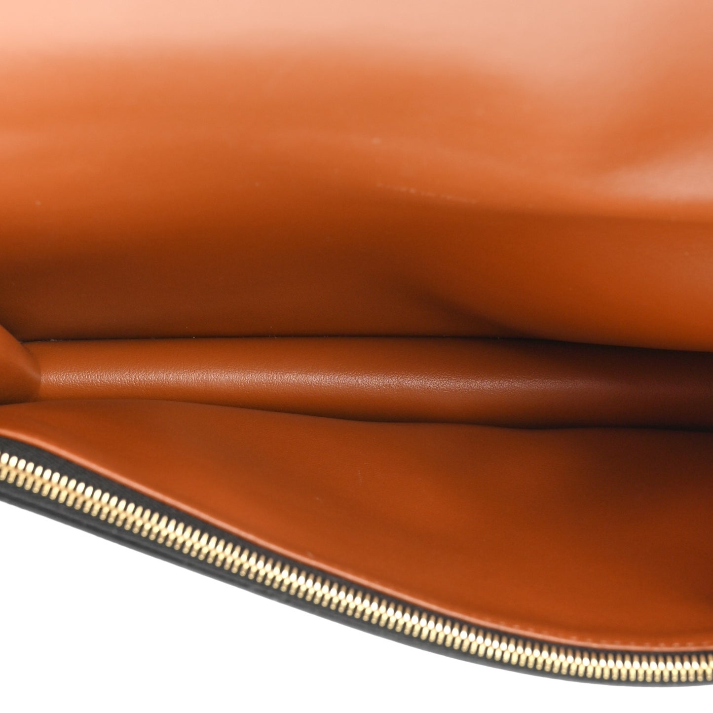 Triomphe Canvas Lambskin Wallet On Strap Tan