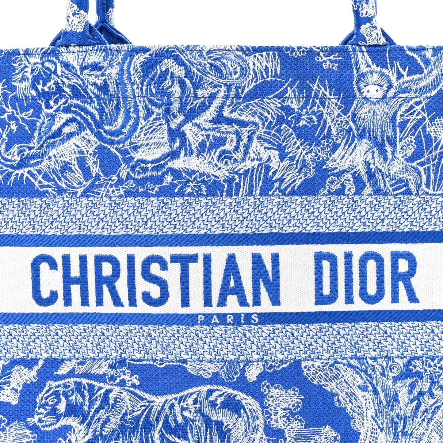 Canvas Embroidered Medium Dioriviera Toile De Jouy Book Tote Fluorescent Blue