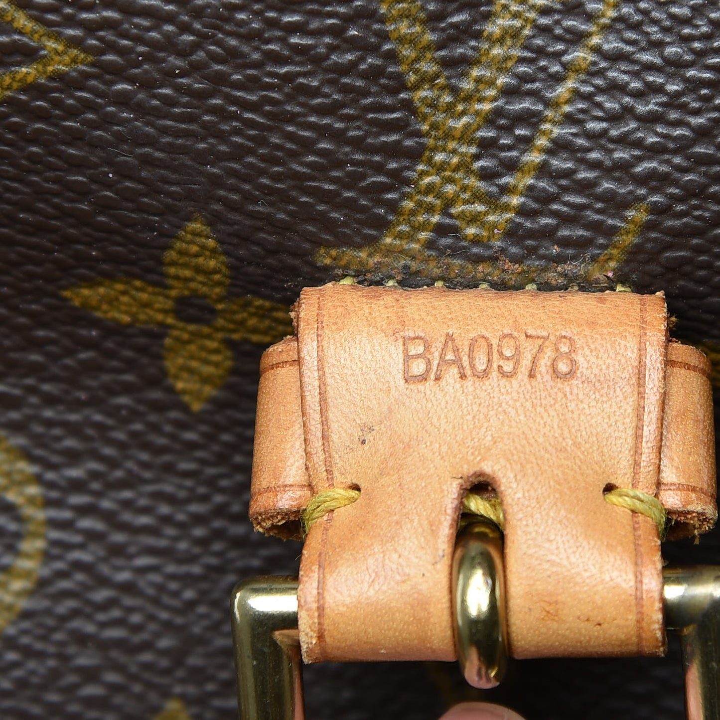 Monogram Montsouris GM Backpack