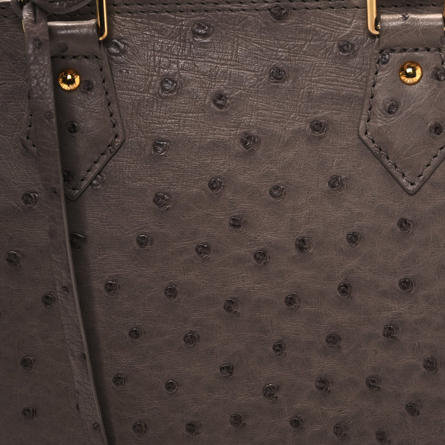 Ostrich Alma MM Gris