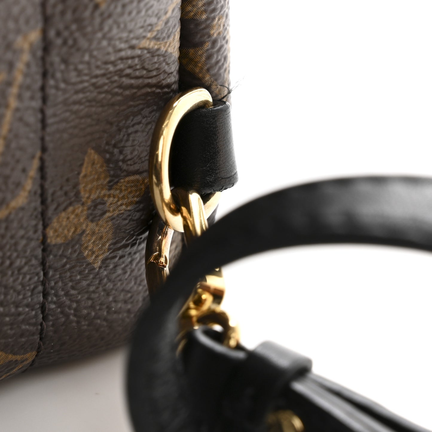 Monogram Palm Springs Backpack Mini