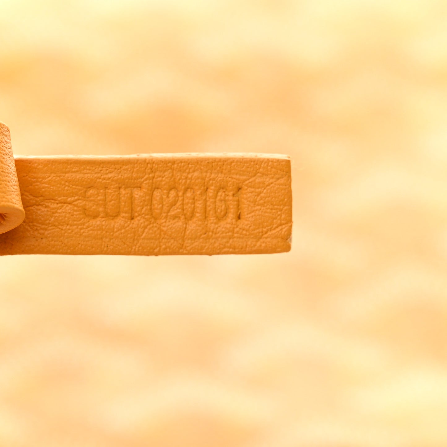 Goyardine Saint Louis GM Yellow